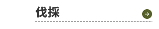 sp_design01_btn03