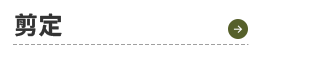sp_design01_btn04