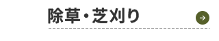 sp_design01_btn05